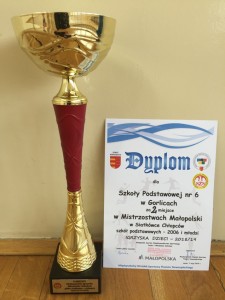 Wicemistrz SP6